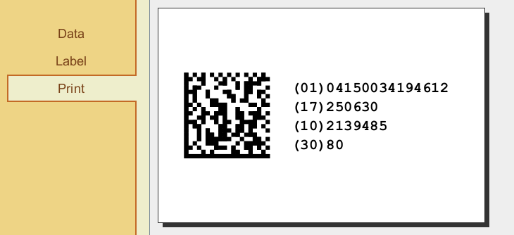 Screenshot GS1 DataMatrix label